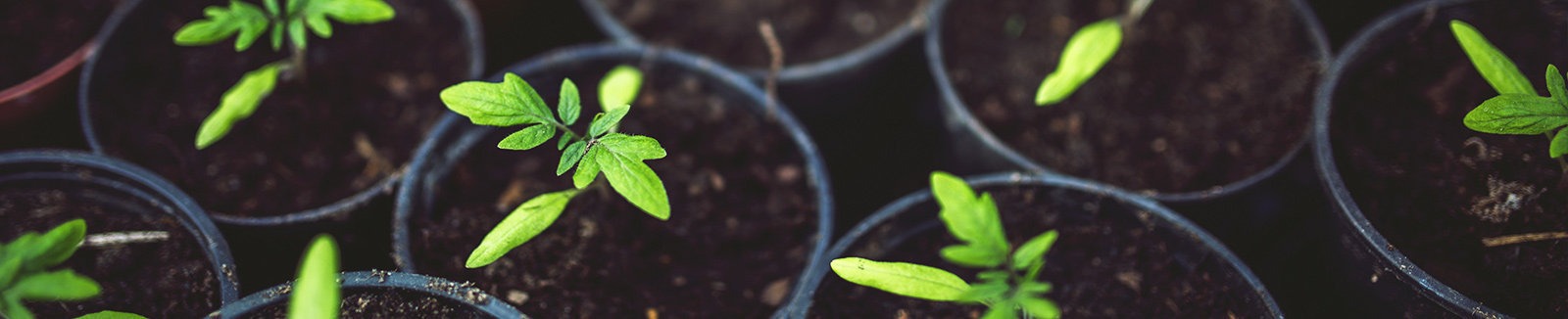 International Ministries Annual Report