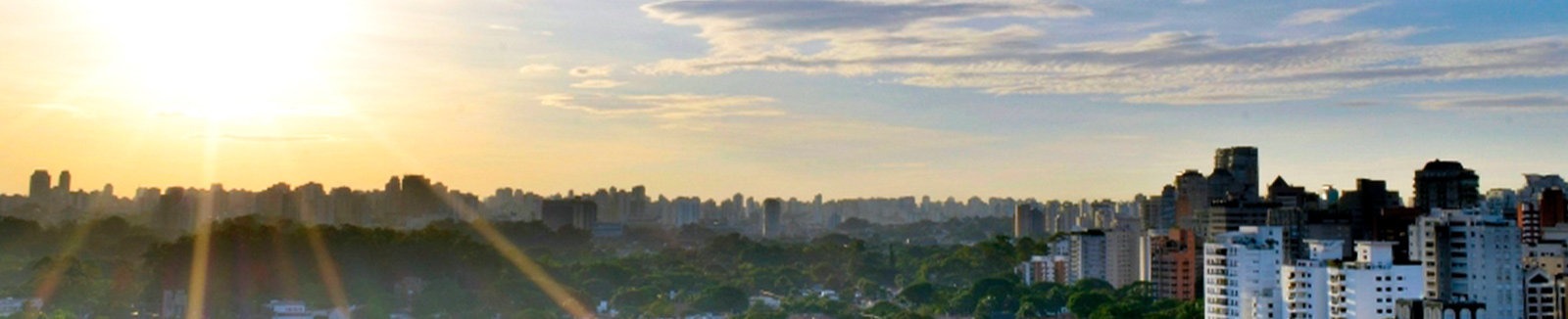 IM Staff and Leadership