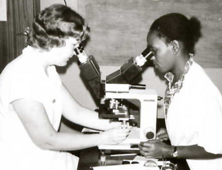 media kit graphic history